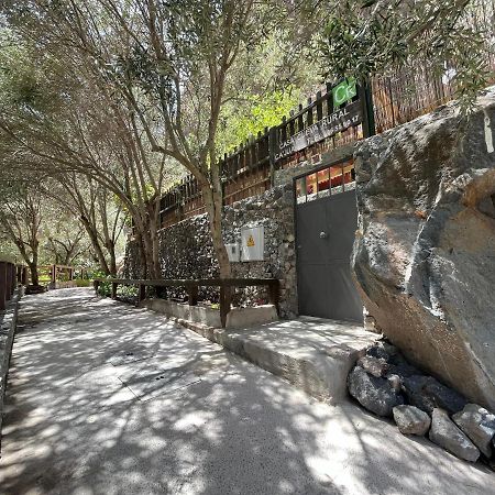 Casa Rural Guayadeque Ca'Juani Ingenio Dış mekan fotoğraf