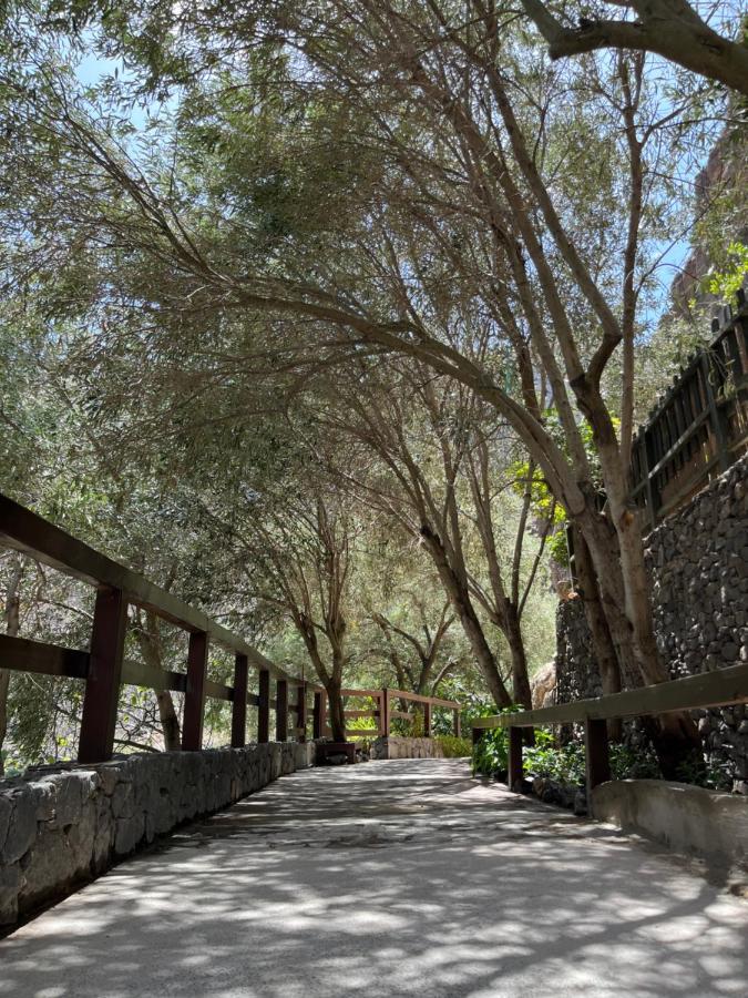Casa Rural Guayadeque Ca'Juani Ingenio Dış mekan fotoğraf